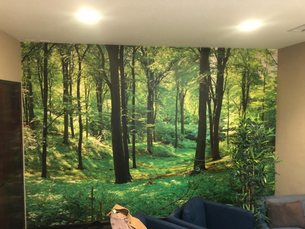 Wallpaper Near Me Lodge State